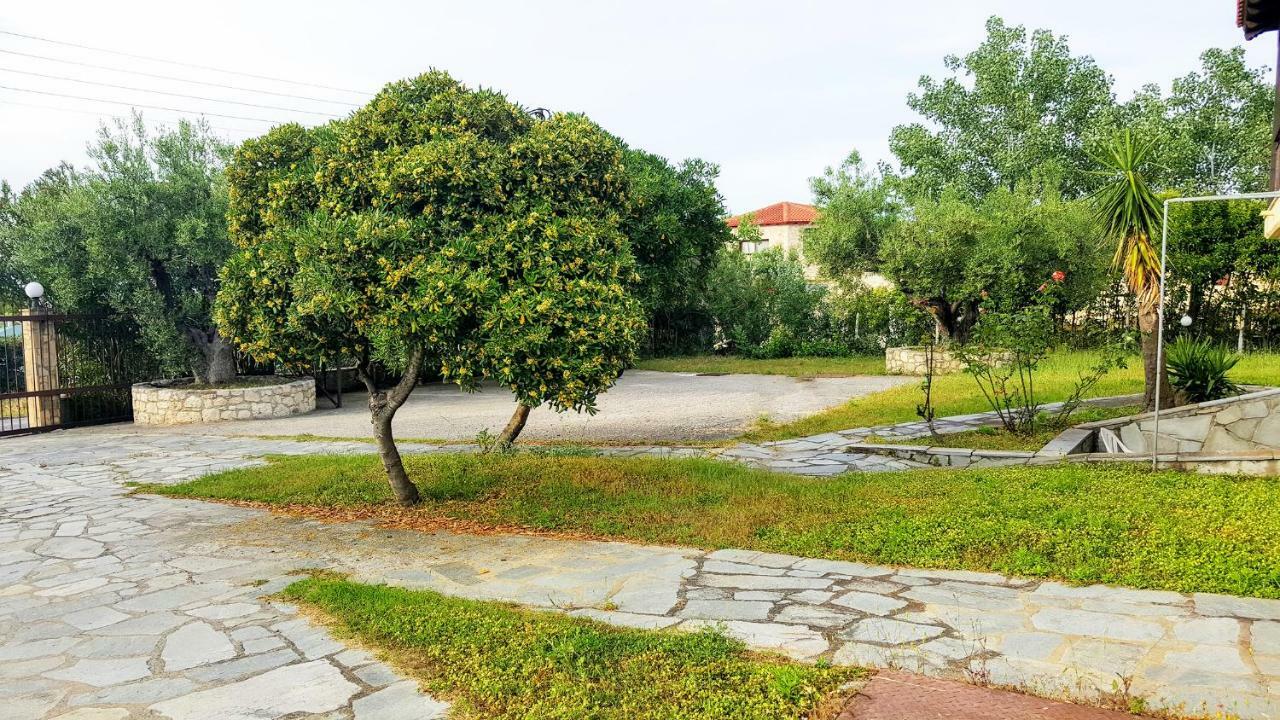 Amazing Sea View Loft, Afytos Apartment Ngoại thất bức ảnh